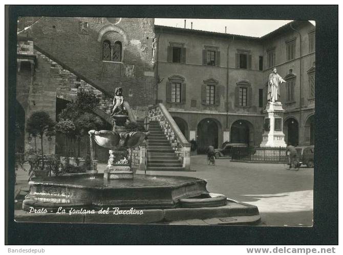 CPSM - Prato - La Fontana Del Bacchino  (Ed. Bertelli & Figli) - Prato
