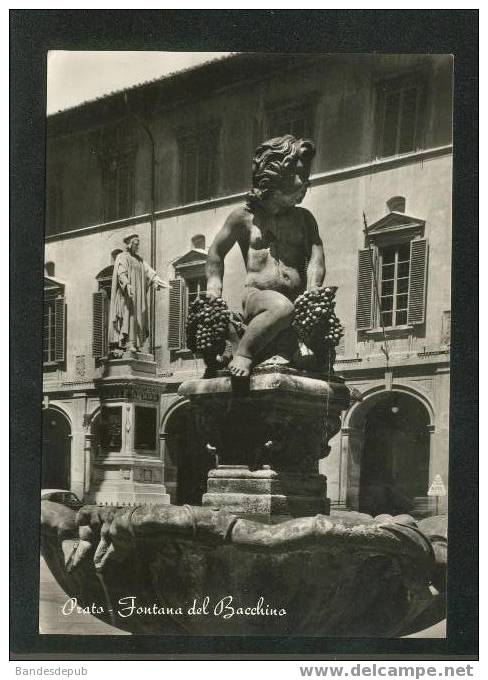 CPSM - Prato - Fontana Del Bacchino (thème Vin Bacchus Raisin - Bertelli & Figlio) - Prato