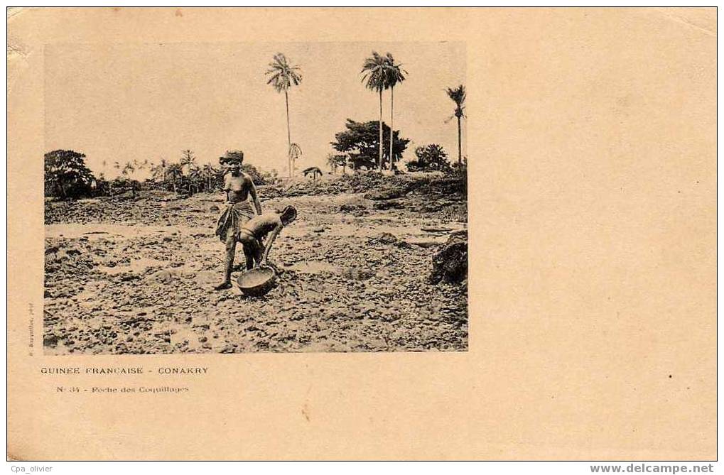 GUINEE FRANCAISE Conakry, Types, Peche De Coquillages, Femmes Seins Nus, Ed Bouquillon 34, Dos 1900 - Guinée Française