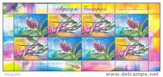 2006 BELARUS Orchids Of Belarus SHEETLET - Bielorussia