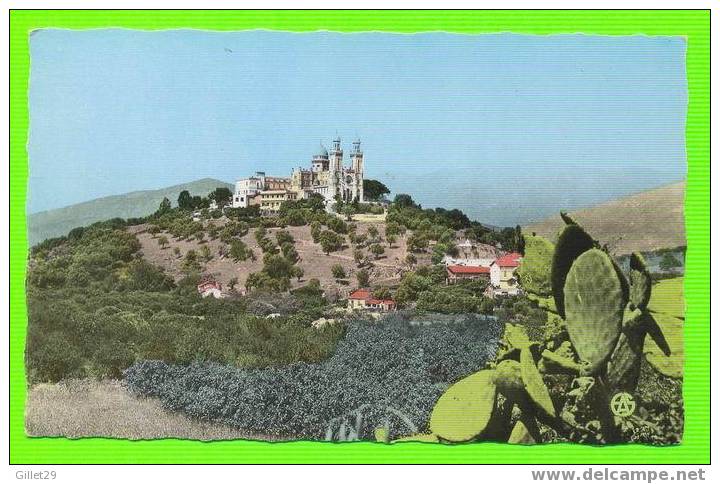 BÔNE - LA BASILIQUE SAINT-AUGUSTIN - CARTE JAMAIS ÉTÉ UTILISÉE - - Annaba (Bône)