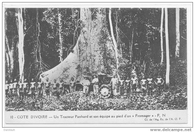 COTE D IVOIRE / Un Tracteur Panhard Et Son équipe Au Pied D'un "Fromager", F.N., Cliché De L'ag Ec De L'A.O.F. / ANIMEE - Côte-d'Ivoire