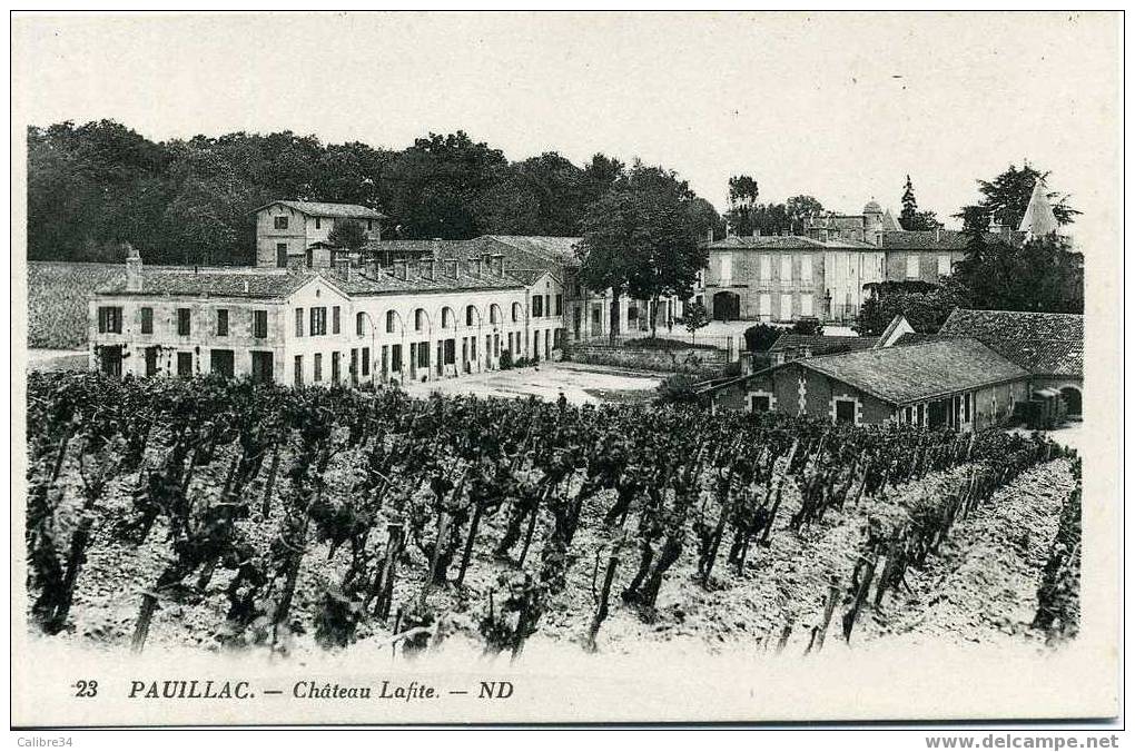 PAUILLAC Château Lafite  (LEVY NEURDEIN Vigne Vin Cep) - Pauillac