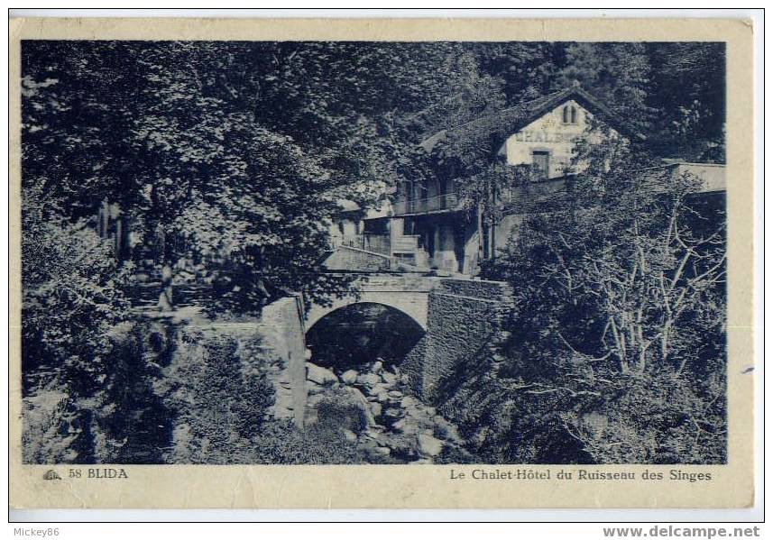 Algérie--1946----BLIDA--L E Chalet-Hotel Du Ruisseau Des Singes ,cpsm N°58 Par CAP - Blida