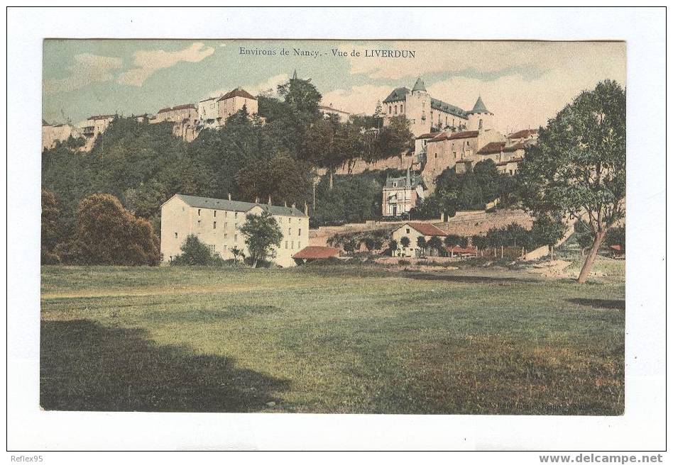 Environs De Nancy - Vue De LIVERDUN - Liverdun