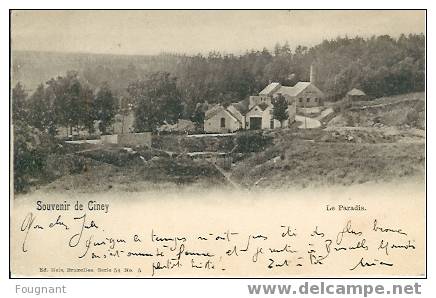 Belgique:CINEY(Namur.) :Le Paradis.1901.Nels,série 54,N°5. - Ciney