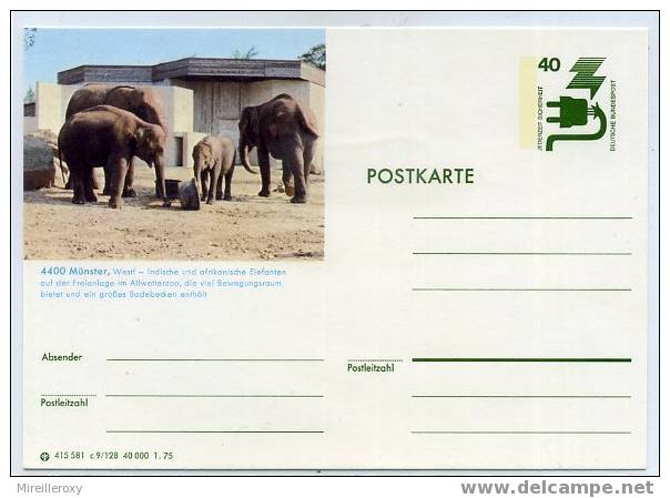 ELEPHANT / ZOO  MUNSTER /ENTIER POSTAL ALLEMAGNE / STATIONERY GERMANY - Elefanten