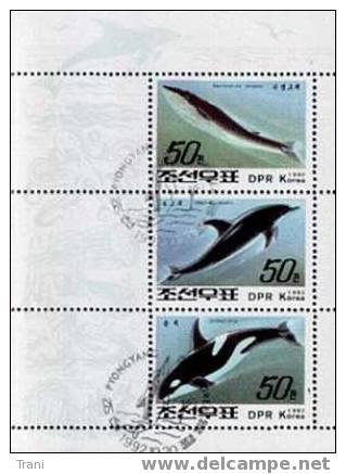 DELFINI - FOGLIETTO - Dolfijnen
