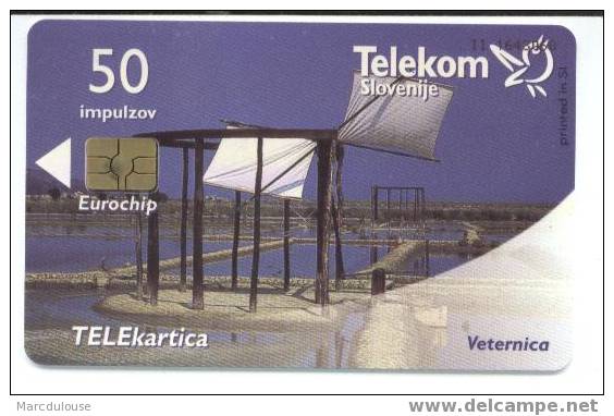 Telekom Slovenije. Telekartica. Veternica. Salines. 50 Impulzov. - Slovénie