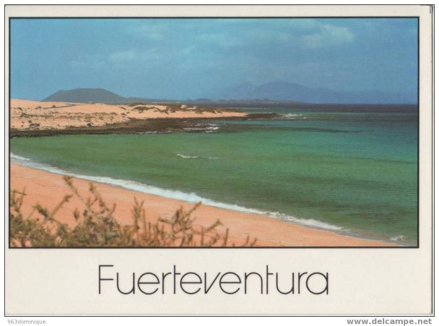 Fuerteventura - Corralejo - Playa De Los Matos - Beach - Fuerteventura