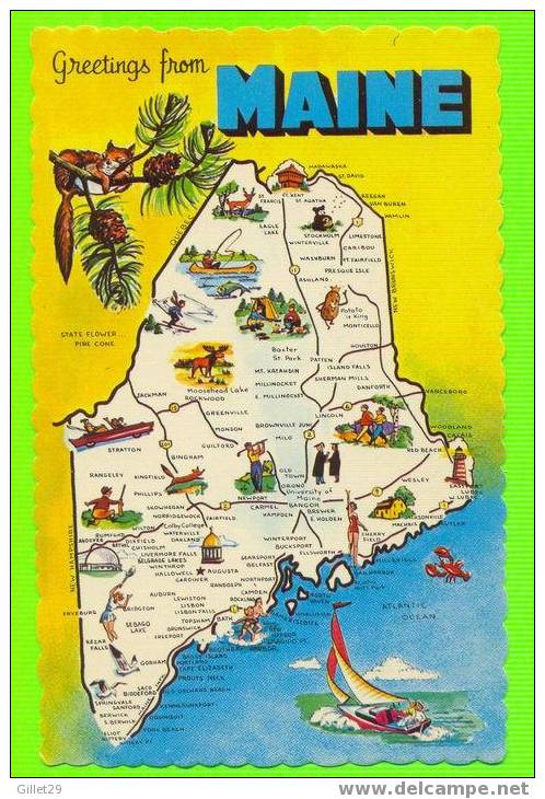 MAP OF MAINE - CAPITAL AUGUSTA - PINE TREE STATE - - Sonstige & Ohne Zuordnung