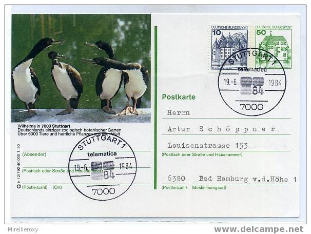 OISEAUX / CANARD/ ENTIER POSTAL ALLEMAGNE/ ZOO WILHELMA STUTTGART - Canards