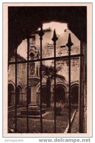 CAVAILLON 84 - Cathédrale St-Véran - Jardin à L´intérieur Du Cloître - Cavaillon