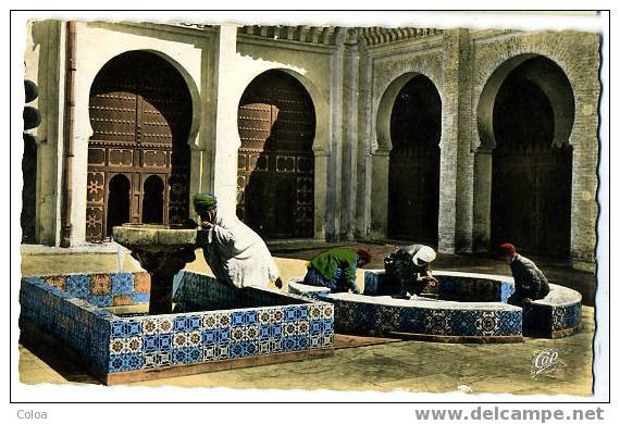 Tlemcen Intérieur De La Grande Mosquée Ablutions - Tlemcen