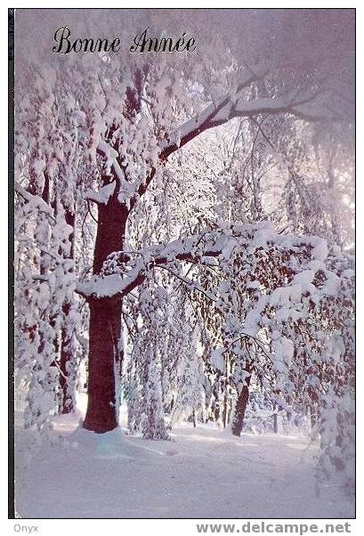 BONNE ANNEE - PAYSAGE ENNEIGE / EDT. CECAMI - Nouvel An