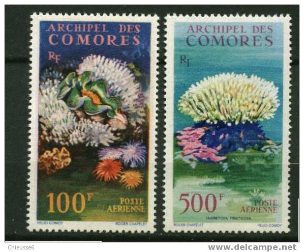 Comores ** PA N° 5 - 6 - Faune Et Flore Marine - Other & Unclassified