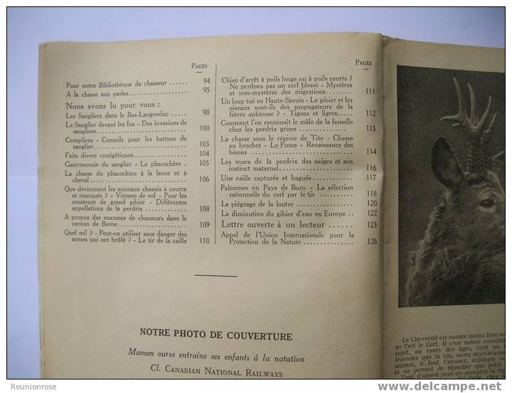 Les Cahiers De CHASSE ET DE NATURE N° 13 Du 1er Tri 1953 Dirigés Par Tony BURNAND.. - Chasse/Pêche