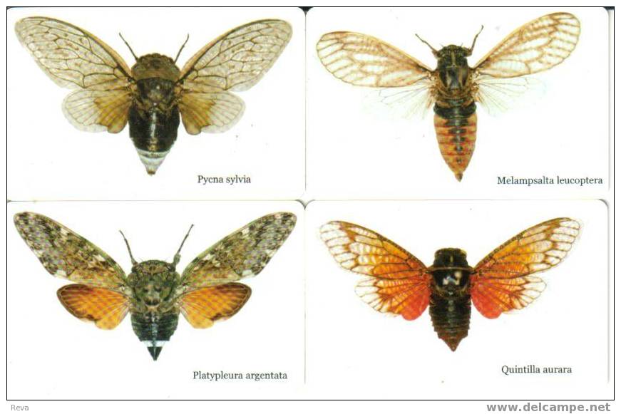 RSA SET  OF 4  MOTH  INSECT  INSECTS   CHIP   CAT CODE: SAF-MNT- ? - South Africa