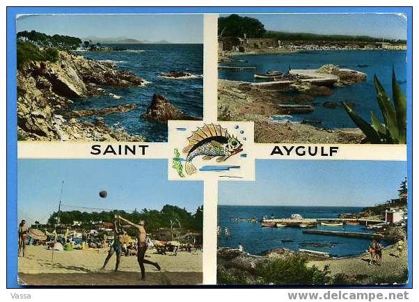 CPSM .Souvenir De SAINT AYGULF. Affranchie  Et Taxée - Saint-Aygulf