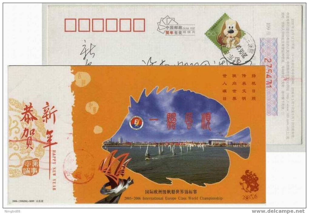 China 2005 Rizhao International Europe Class Sailing World Championship Advertising Postal Stationery Card - Voile