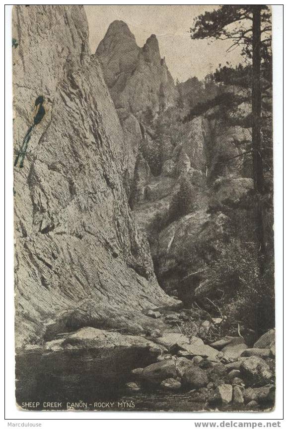 Sheep Creek Canon. Rocky Mountains. - Rocky Mountains