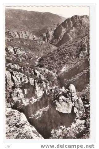 Environs De VILLEFORT(48 , Lozère),les Gorges Du Chasserac; Vues Du Belvédère De La Garde Guérin; Cachet De CONCOULES;TB - Villefort