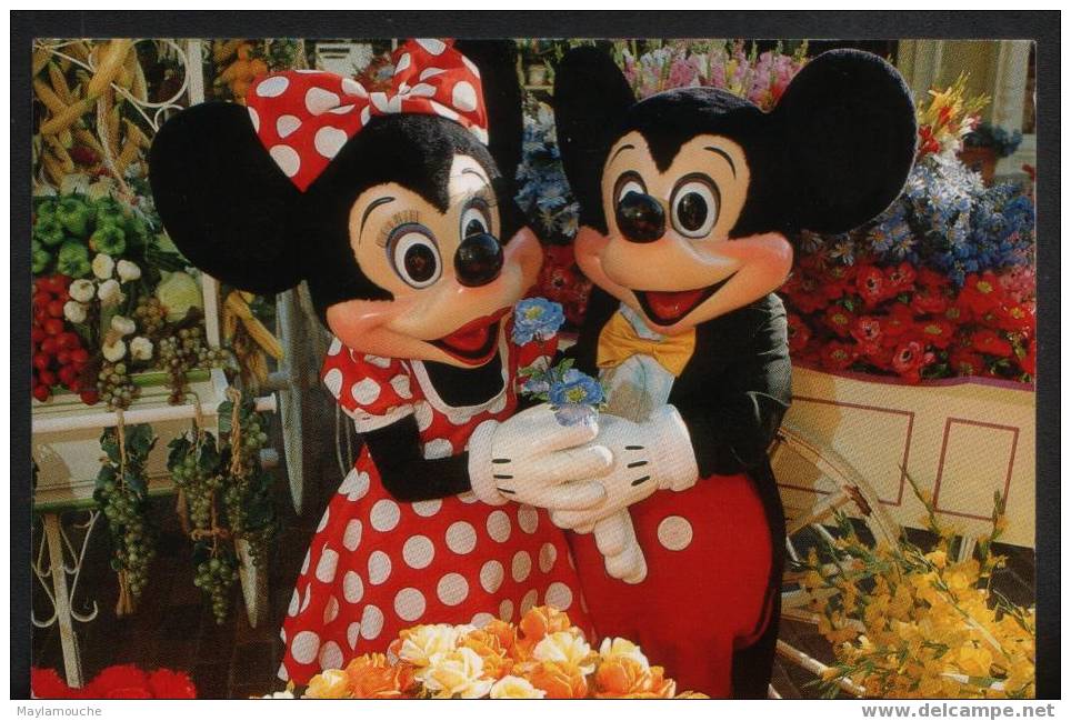 Minnie Et Mickey - Disneyworld