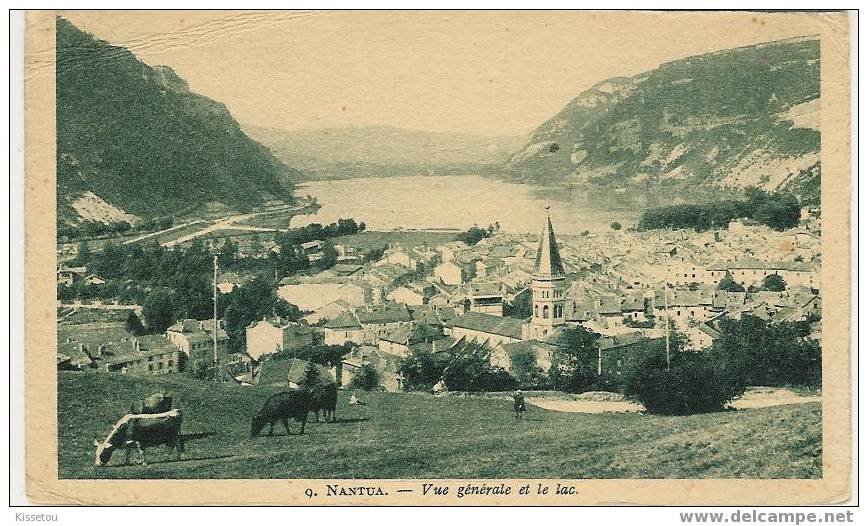 Vue Générale - Nantua