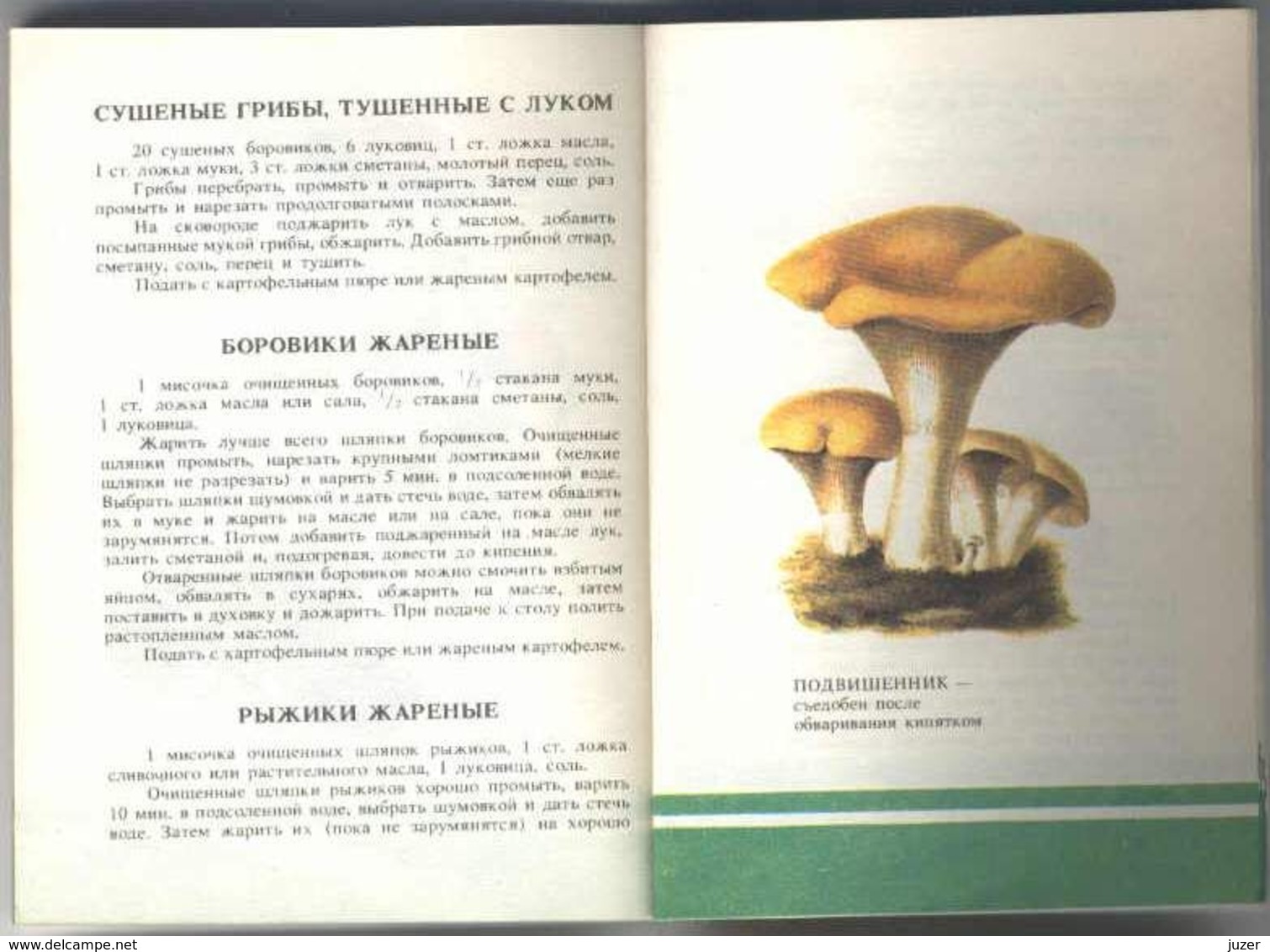 Old Russian Book: Hand-Book Of Mushroomer (1990) - Enciclopedias