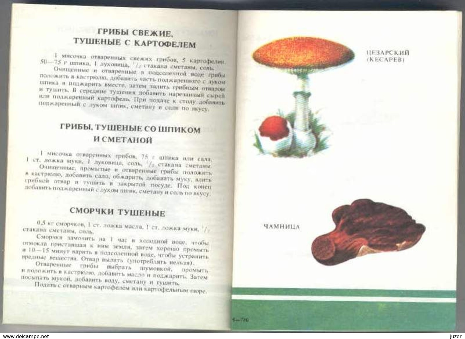Old Russian Book: Hand-Book Of Mushroomer (1990) - Encyclopedieën