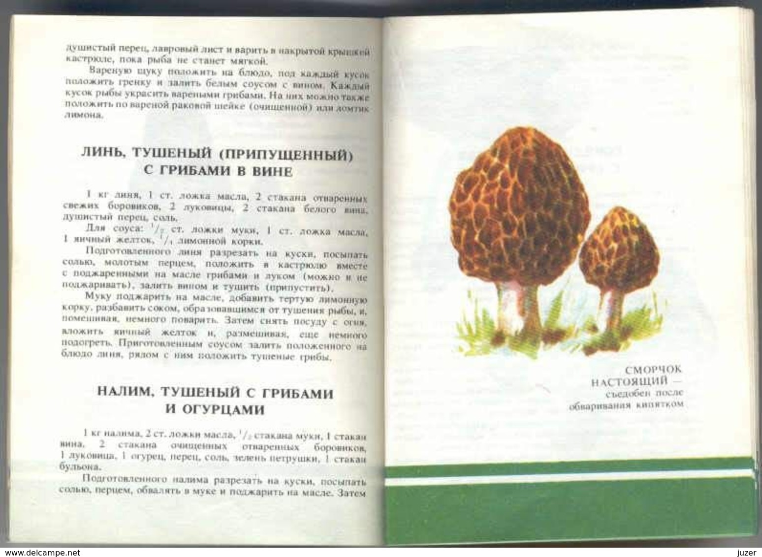 Old Russian Book: Hand-Book Of Mushroomer (1990) - Enzyklopädien