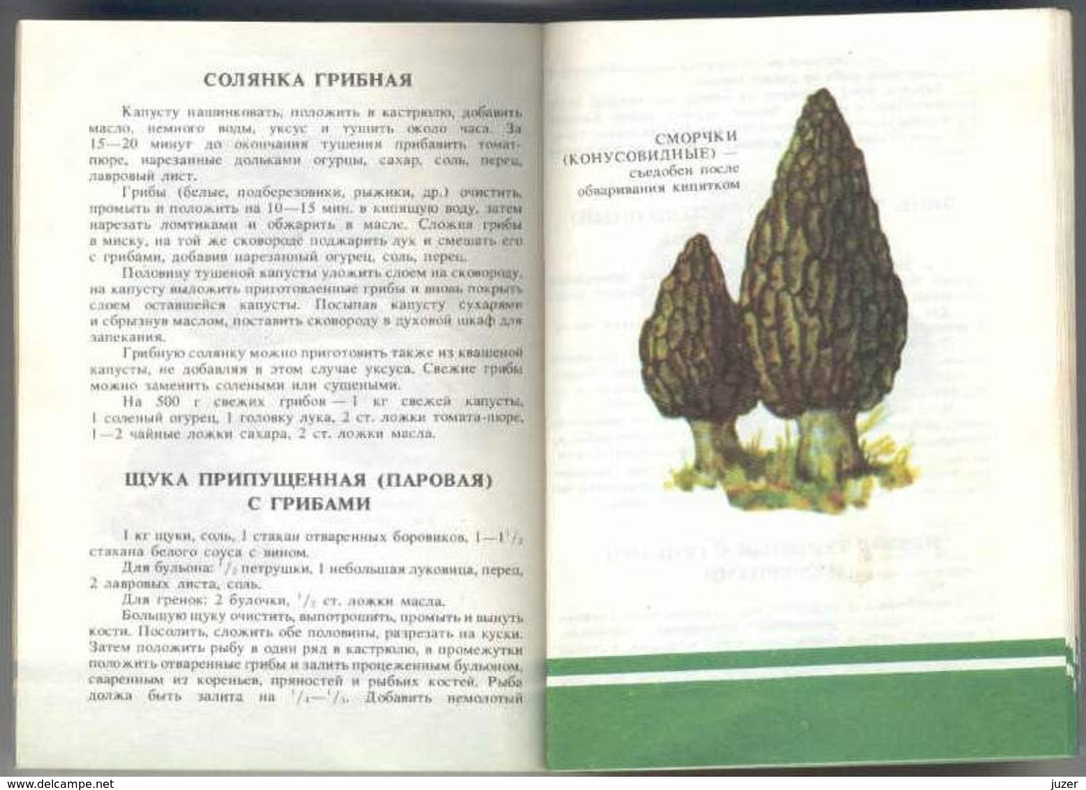 Old Russian Book: Hand-Book Of Mushroomer (1990) - Enzyklopädien