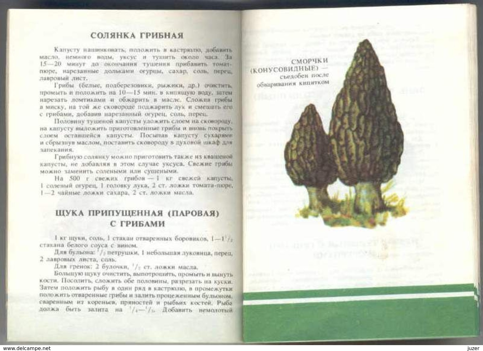 Old Russian Book: Hand-Book Of Mushroomer (1990) - Enciclopedie