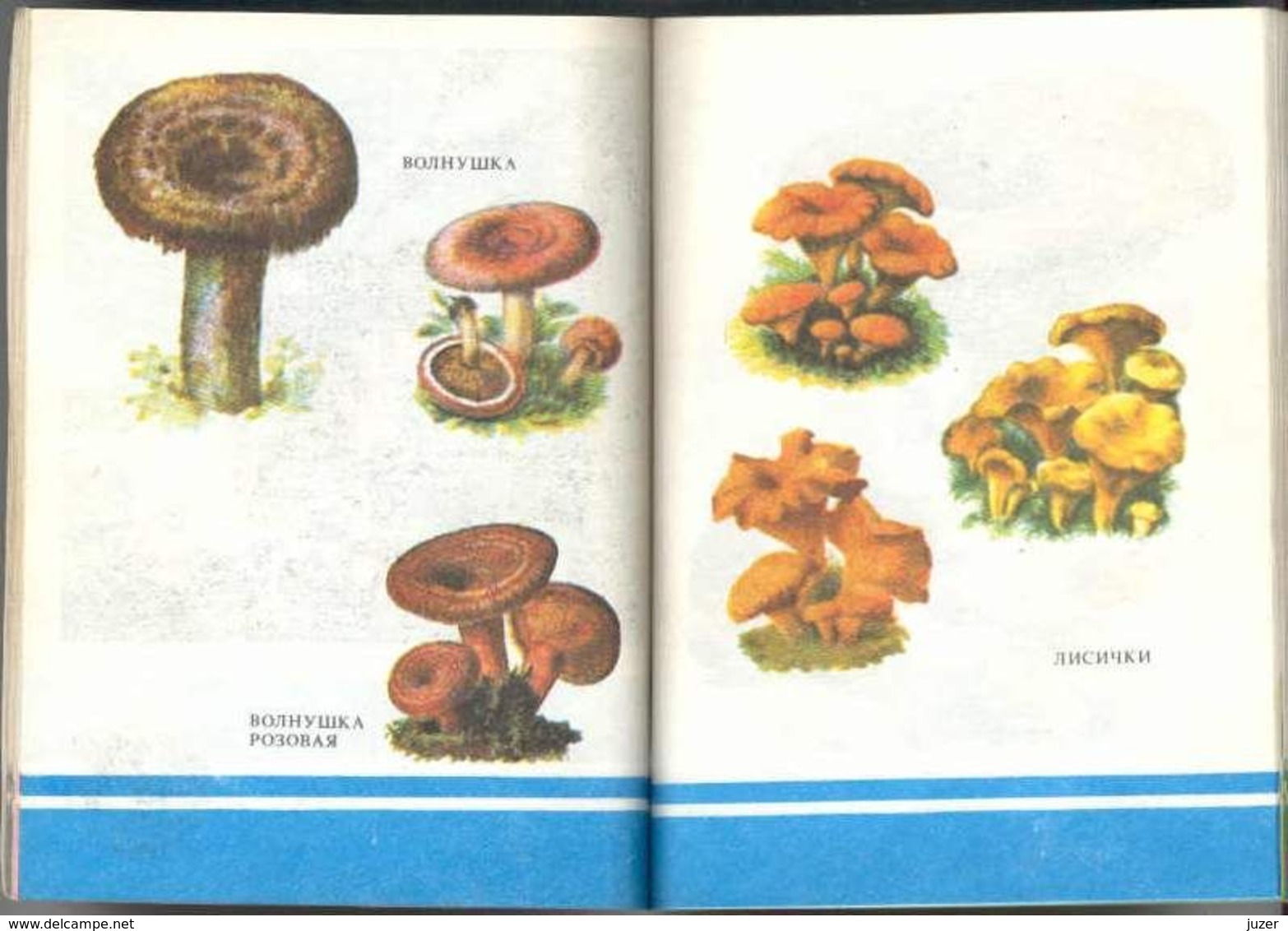 Old Russian Book: Hand-Book of Mushroomer (1990)