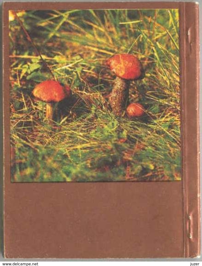 Old Russian Book: Hand-Book of Mushroomer (1990)