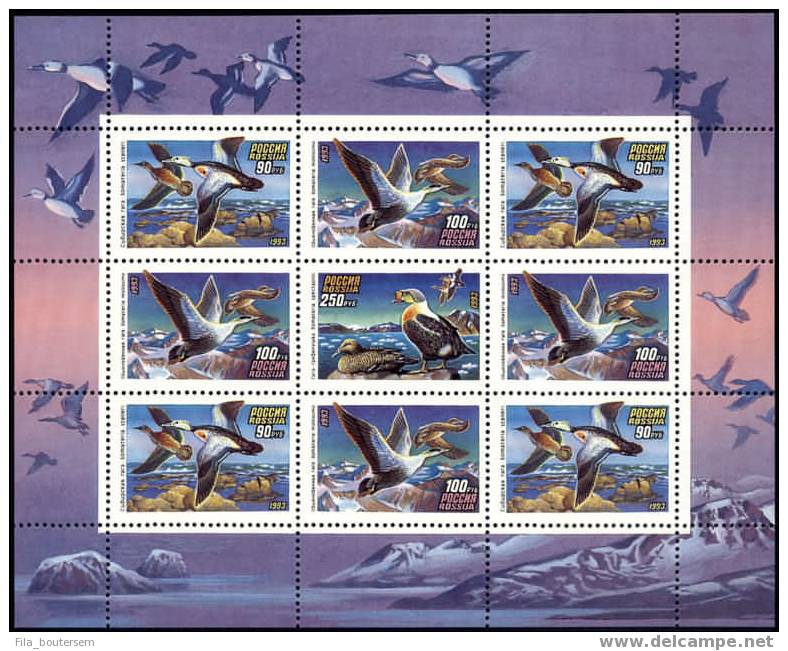 RUSSIA - RUSSIE - RUSLAND : 01-07-1993 (**) : Sheetlet Of 9v : Nature - Ducks - Canards - Eenden   Serie II - Blocs & Feuillets