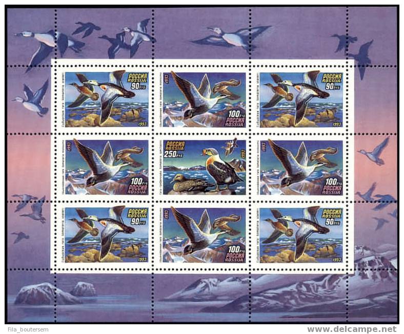 RUSSIA - RUSSIE - RUSLAND : 01-07-1993 (**) : Sheetlet Of 9v : Nature - Ducks - Canards - Eenden   Serie II - Patos