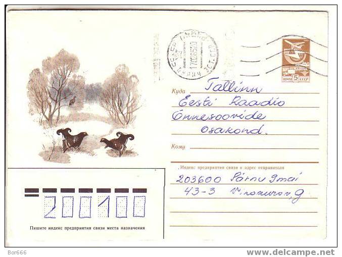 GOOD USSR POSTAL COVER 1984 - Pheasants (used) - Gallinacées & Faisans