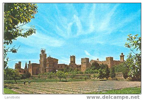 Olite Castle General Vieuw - Navarra (Pamplona)