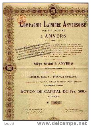 ANVERS "Cie Lainière Belge SA" Action De Capital De 500 Fr - Capital : 6.000.000 Fr - Textil