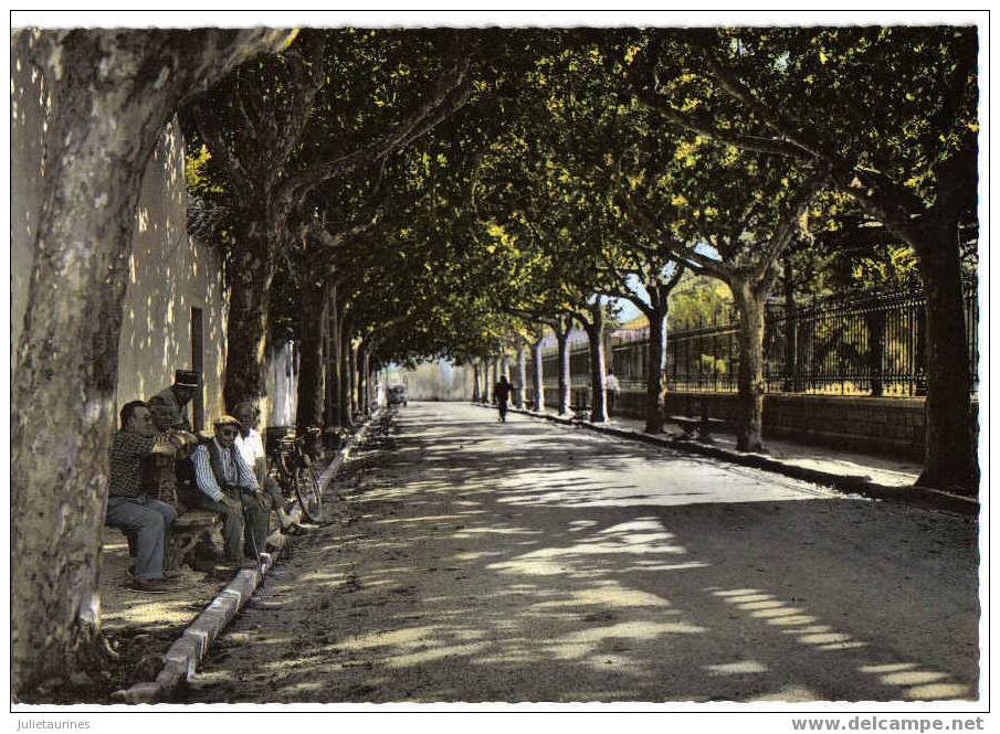 Aigues-vives Avenue Des Arènes Et Jardin Public Cpsm  Bon état - Aigues-Vives