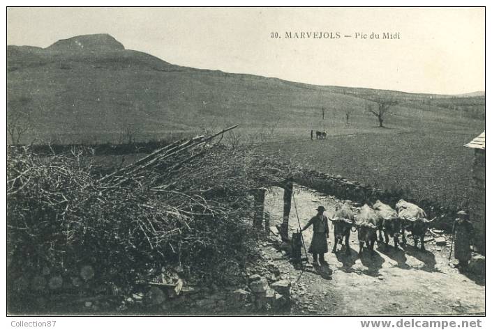 48 - LOZERE - MARVEJOLS - PIC Du MIDI - PAYSAN Avec Ses BOEUFS - AGRICULTURE - Edit. TESSON 30 - Marvejols