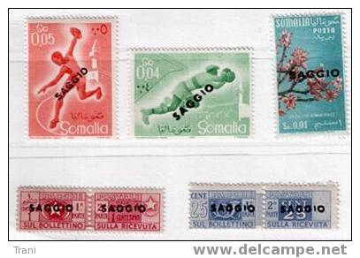 SAGGIO - Somalia (1960-...)