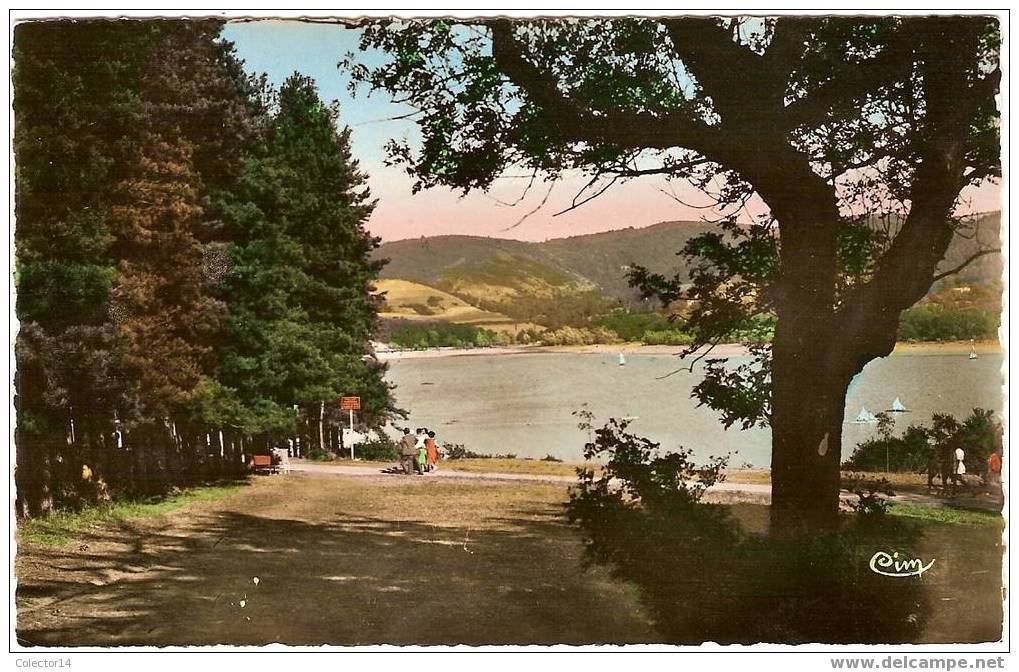 Saint-Férréol Le Bassin Et Ses Pins - Saint Ferreol