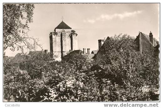 CPSM - La Roche Posay - 86270 - N° 23 - Le Donjon XIIe Siècle - La Roche Posay