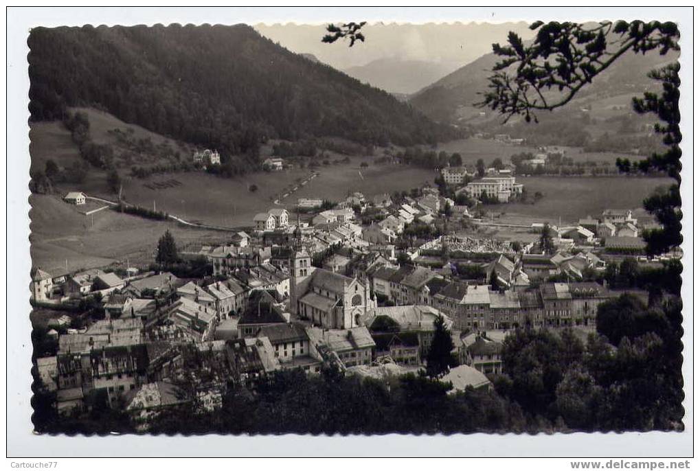 J28 - THÔNES - Vue Générale (jolie Carte Semi-moderne) - Thônes