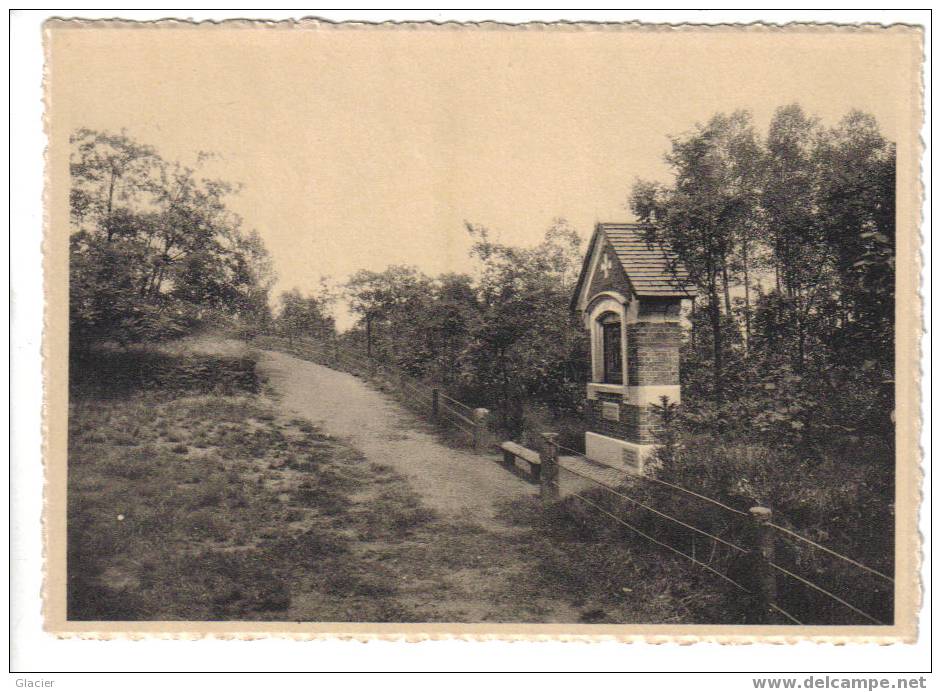 Zicht Op De Bedeweg Van OLV Van Zeven Smarten Te Bareldonk Bij OVERMERE - Zele