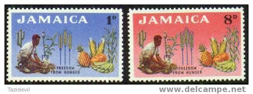 JAMAICA - 1963 Freedom From Hunger. Scott 201-2. - Jamaica (1962-...)