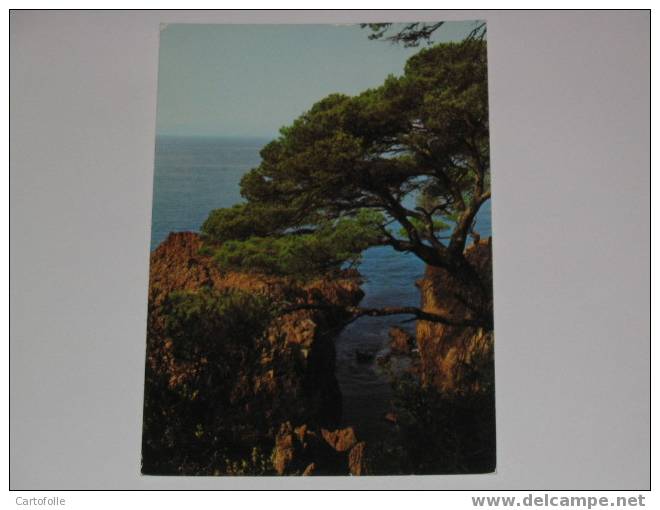 (146) -1- Carte Postale Sur La Corse  Calanche De Piana - Corse