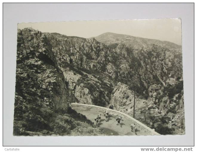 (146) -1- Carte Postale Sur La Corse Piana La Route Des Calanches - Corse